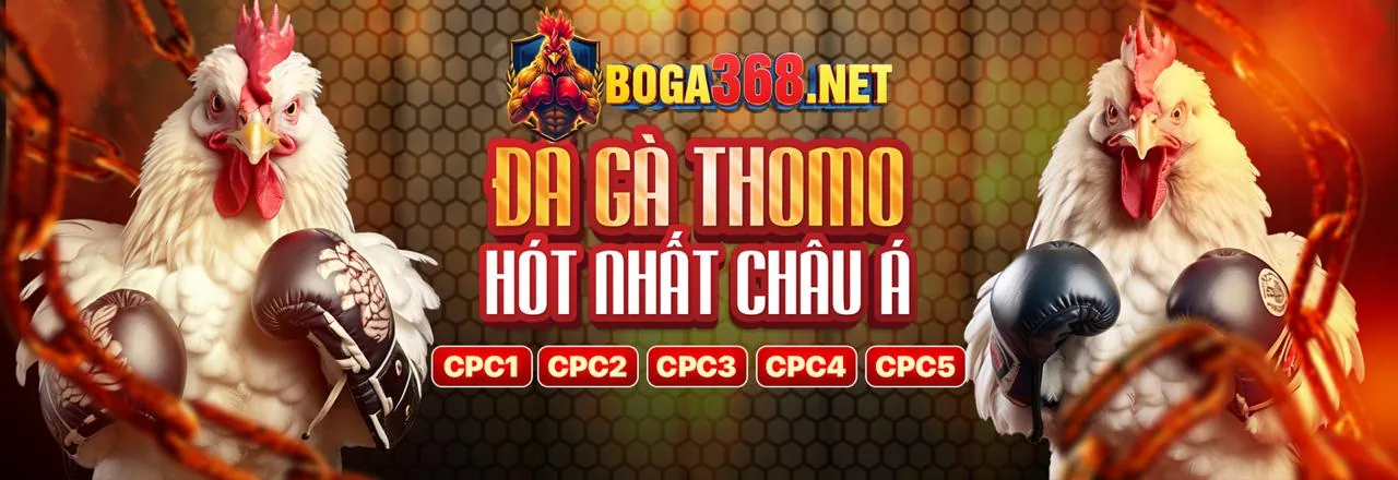 Hình ảnh chính về xổ số trực tuyến 8kbet88